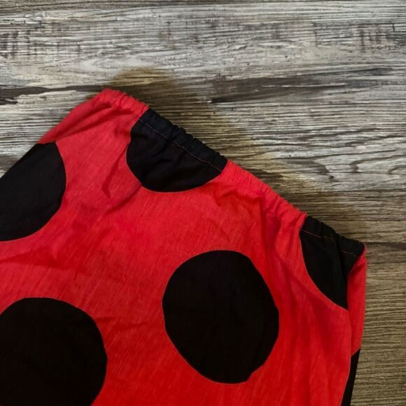 Unbranded Red & Black Ladybug Costume Size Small - Picture 2 of 12